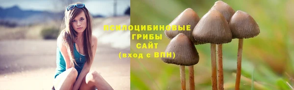каннабис Покачи