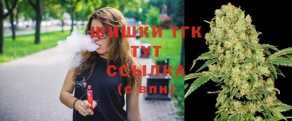 крисы Лагань