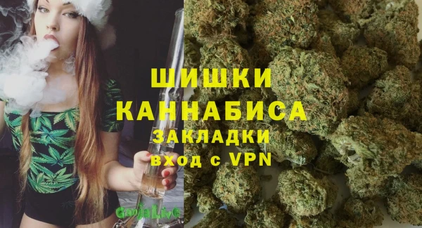 СК Инта